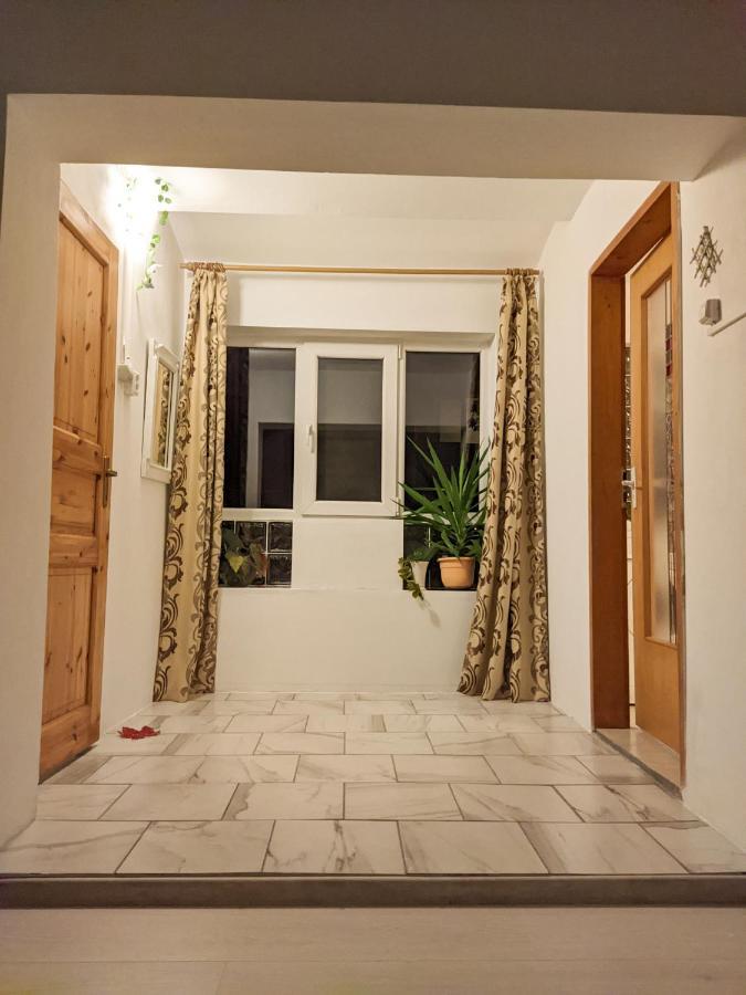 Moss'S Economy Apartment ティミショアラ エクステリア 写真