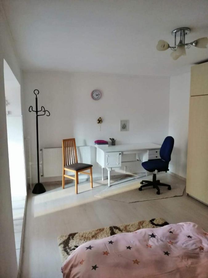 Moss'S Economy Apartment ティミショアラ エクステリア 写真